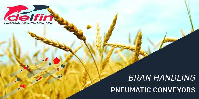 WHEAT, FLOURS AND BRAN HANDLING